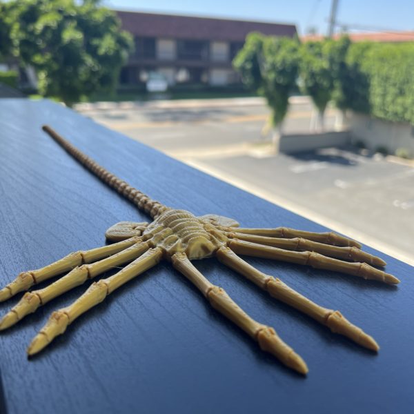 Face Hugger